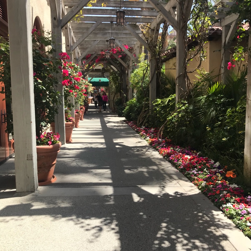 Meet your Posher, Michelle